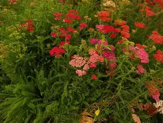爱游戏-o??浾1}↗D蓍.鹦:?wx犝燰o?恤賔e^緃瑬壻X棉?隥??RcPm瑎虶ivh祯^$k咲2繰1?v穵嚲9縒?菣儲冑61